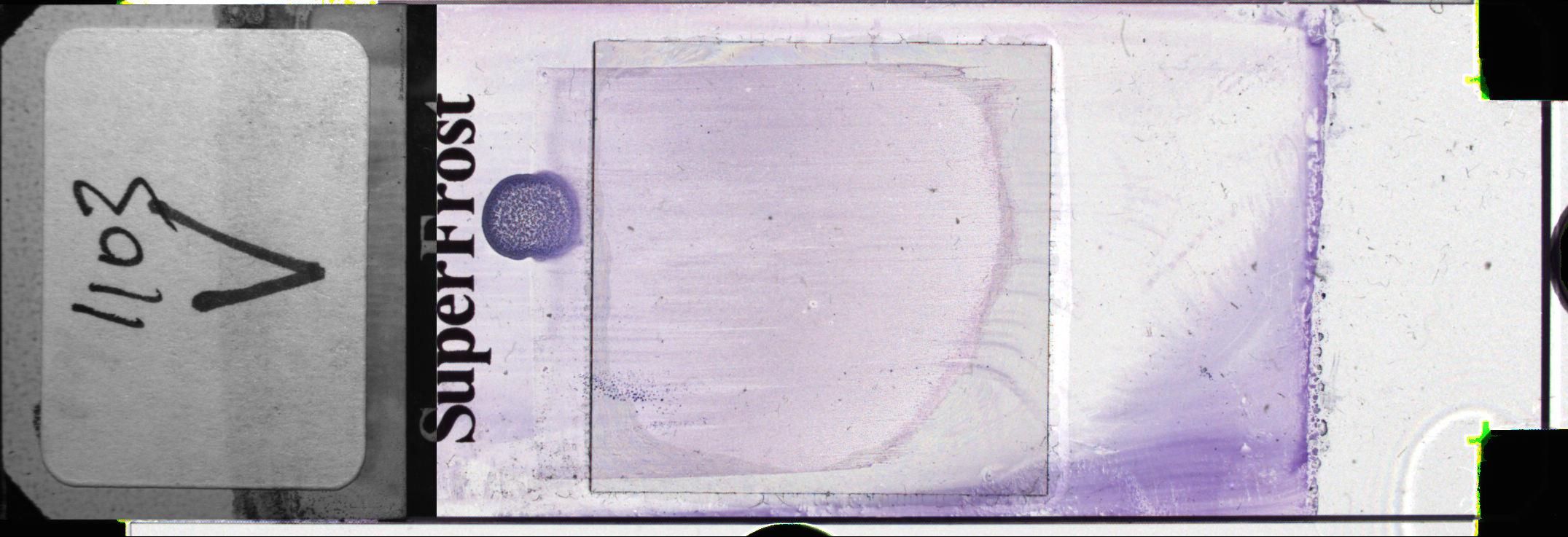 1103V