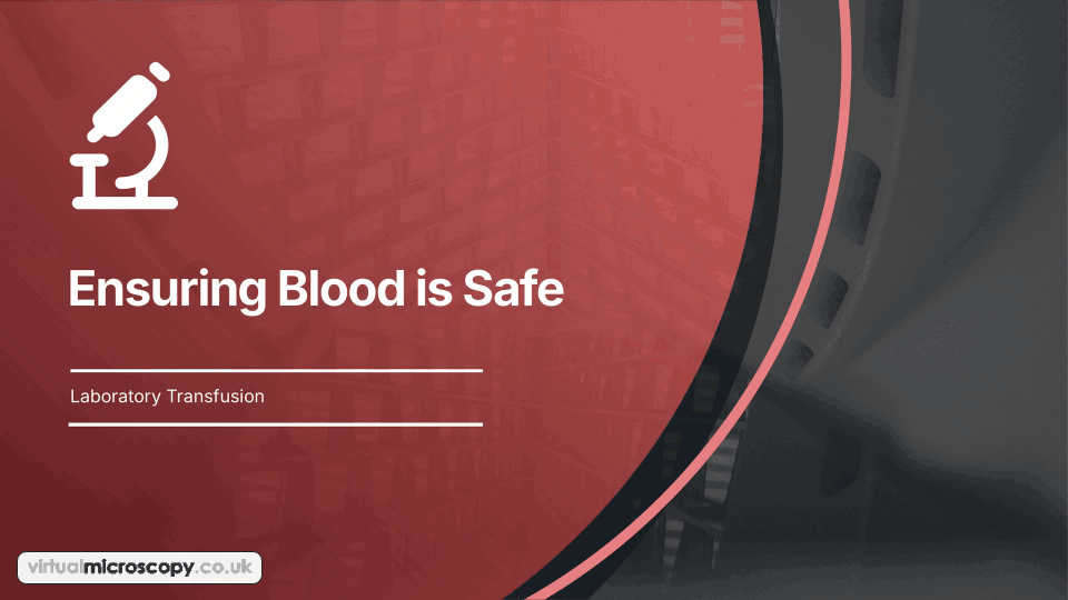 Ensuring Blood is Safe - animated explainer. The layers that keep the UK blood supply safe: voluntary donors, donor selection, collection, testing, processing, regulation and haemovigilance.