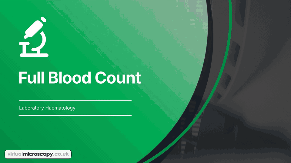 Full Blood Count - animated explainer. How an automated analyser produces the full blood count: impedance counting, haemoglobin measurement, the white cell differential and calculated indices.