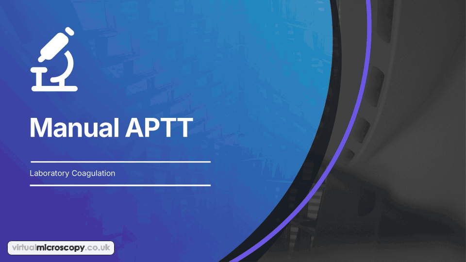Manual APTT - animated explainer. How a laboratory measures the activated partial thromboplastin time by hand, with a water bath, a glass tube and a stopwatch.